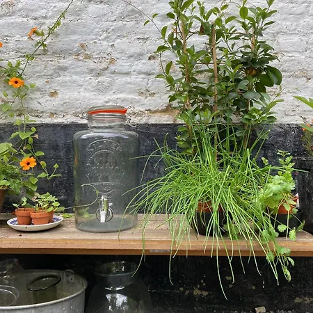 Basten Batenburg سليناكين