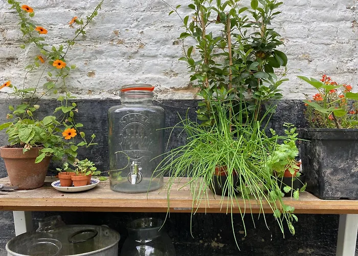 Basten Batenburg سليناكين